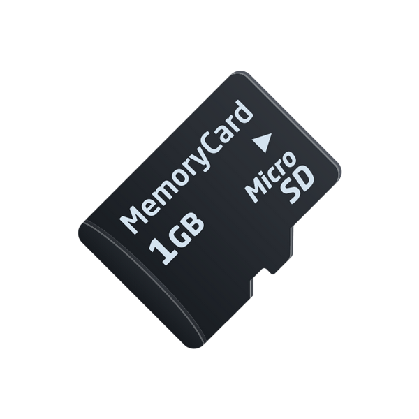 Micro SD Card (1 GB)